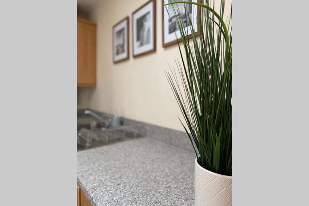 Alicia Newport By Mia Living 2 Bedroom Apartment With Dedicated Parking 외부 사진
